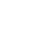 DS logo